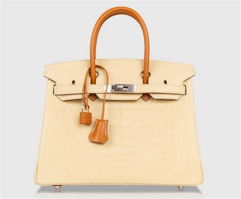 bags that look like hermes birkin